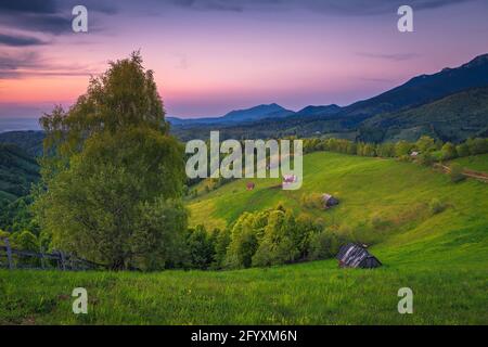 Maestoso paesaggio rurale con prati verdi e capanne in legno sulle pendici al tramonto, Simon, Romania, Europa Foto Stock