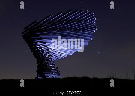 La scultura Panopticon dell'albero di canto a Burnley, Lancashire illuminato da una torcia Foto Stock