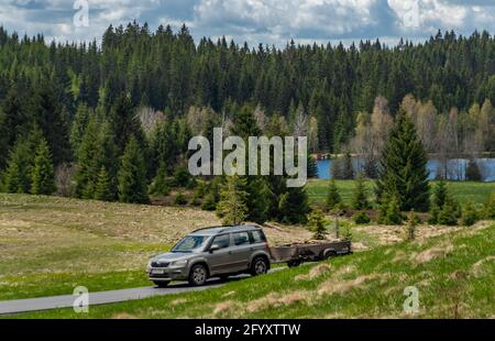 Auto veloce nella foresta primaverile all'alba su strada umida nera dopo la pioggia mattutina Foto Stock