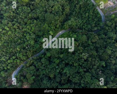 Strada attraverso la foresta pluviale atlantica a Trindade, Paraty, Brasile Foto Stock