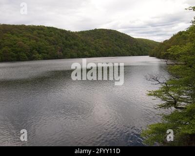 Parco Nazionale di Kellerwald-Edersee (Assia, Repubblica federale di Germania) Foto Stock