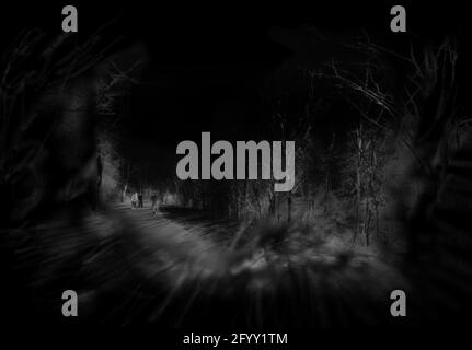 La gente cammina attraverso la foresta misteriosa di notte. Rendering 3D Foto Stock