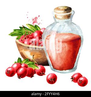 Vasetto in vetro di tintura di Hawthorn e frutti di bosco freschi di Hawthorn nella ciotola, con foglie verdi. Acquerello disegno a mano illustrazione isolata su sfondo bianco gr Foto Stock