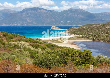 Spiaggia di Lotu, Haute-Corse, ai margini del deserto degli Agriates. Corsica, Francia Foto Stock