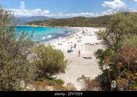 Spiaggia di Lotu, Haute-Corse, ai margini del deserto degli Agriates. Corsica, Francia Foto Stock