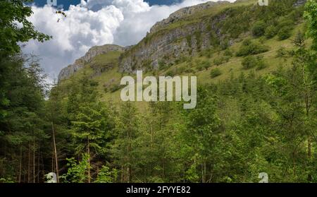 I paracadutisti che volano sul paracadute in parapendio a Devils Chimney, Co Leitrim, Irlanda Foto Stock