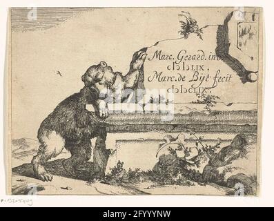 Orso a muro di pietra; orsi. Foto Stock