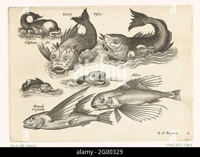 Fantastici animali acquatici, tra cui delfini e pesci di mare; Libelivs generatori variabili piscium compensatori; pesci d'acqua dolce, pesca marittima, rane, molluschi e esseri marini. Fantastici animali acquatici, iscrizioni in latino e olandese identificano, tra le altre cose, Delfini e kernel. Foto Stock