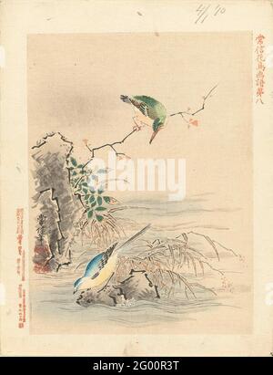 Kingfisher guardando uccello con acqua; schizzi di fiori e uccelli di Kano tsunenobu; canoa tsunobu kacho gafu. Foto Stock