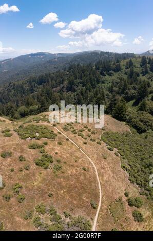 I sentieri si snodano tra le colline ricoperte di vegetazione della East Bay, a pochi chilometri dalla baia di San Francisco, nella California settentrionale. Foto Stock