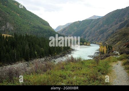 Un sentiero stretto che corre lungo la montagna con un fiume che scorre attraverso la foresta di conifere autunnali. Katun, Altai, Siberia, Russia. Foto Stock