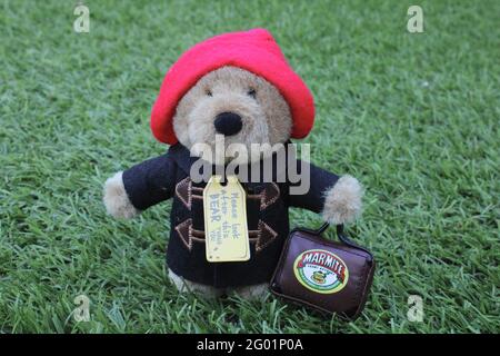 L'orso di Paddington tiene una valigia di Marmite isolata su un verde sfondo Foto Stock