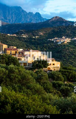 FRANCIA. HAUTE-CORSE (2B) BALAGNE. PIGNA VILLAGGIO Foto Stock