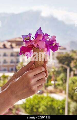 Donna tiene fiori rosa brillante Bougainvillea in un cono gelato nella parte posteriore della montagna in tempo di sole. Concetto pubblicitario di viaggio e vacanza estiva. Estate surreale fiori creativi e. Foto Stock