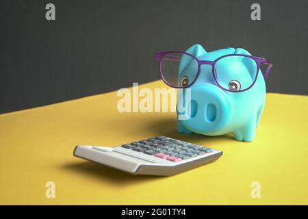 Banco di piggy con occhiali guardando la calcolatrice. Spazio di copia. Foto Stock