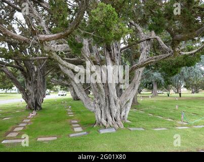 Santa Ana, California, USA 29 maggio 2021 UNA vista generale dell'atmosfera del Fairhaven Memorial Park a Santa Ana, California, USA. Foto di Barry King/Alamy Stock foto Foto Stock