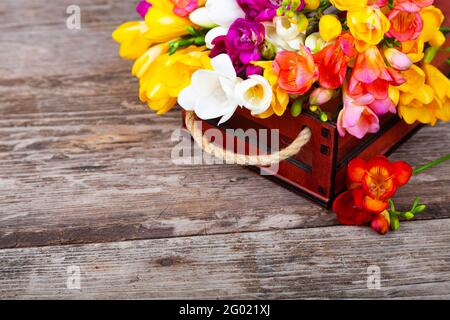 Freesia multicolore in una scatola su un vecchio sfondo di legno. Bellissimi fiori. Foto Stock