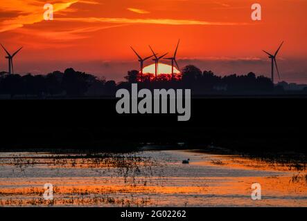 Tramonto dietro Tick Fen Wind Farm, da oltre i livelli di Bedford Foto Stock