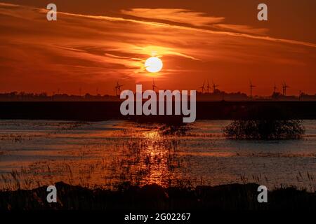 Tramonto dietro Tick Fen Wind Farm, da oltre i livelli di Bedford Foto Stock