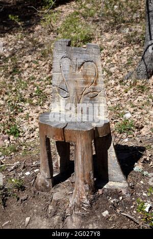 Sedia rustica di legno scolpita da un tronco di albero con Forma del cuore sulla sedia dietro in foresta Foto Stock