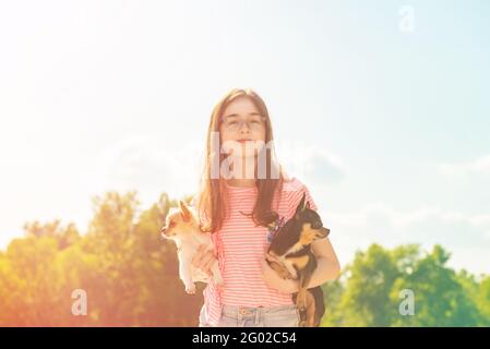 Ragazza adolescente con cani da compagnia in braccio. Bella ragazza con due cani chihuahua sulla natura. Foto Stock