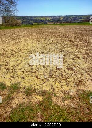 Percorso arido attraverso il vasto paesaggio agricolo del Kent, l'Inghilterra meridionale, il Regno Unito, l'Europa Foto Stock