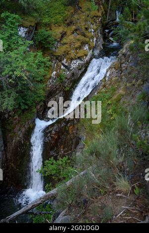 Cascate sul fiume Peguera, nella valle Peguera (Pallars Sobirà, Catalogna, Spagna, Pirenei) Foto Stock