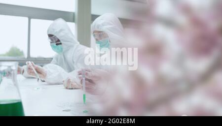 Composizione di scienziati in tute ppe con provette funzionanti in laboratorio e spazio di copia Foto Stock