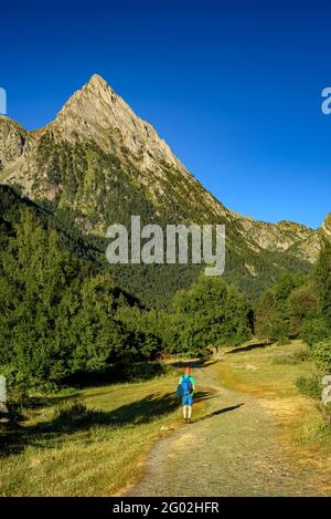 Montagna Encantats visto dall'ingresso del Aigüestortes e del Parco Nazionale Estany de Sant Maurici (Catalogna, Spagna, Pirenei) Foto Stock