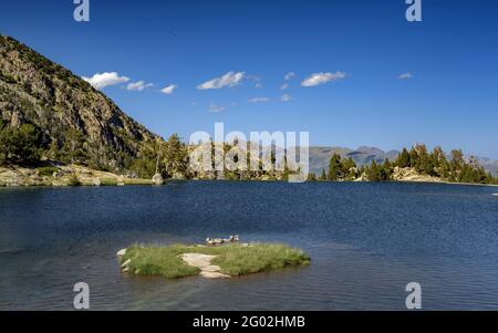 Lago Estany Tort de Peguera visto dal rifugio Josep Maria Blanc nella valle di Peguera (Parco Nazionale Aigüestortes i Estany de Sant Maurici, Spagna) Foto Stock