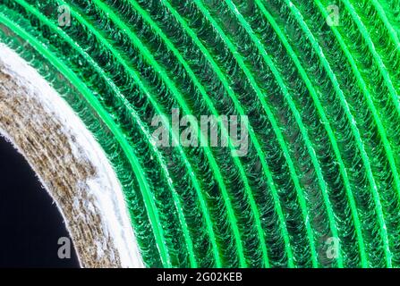 Primo piano di un nastro biadesivo Foto Stock