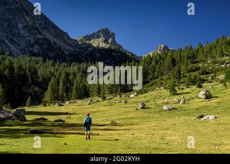 Valle di Monestero. Sullo sfondo, la vetta della Peguera (Parco Nazionale Aigüestortes i Estany de Sant Maurici, Catalogna, Spagna, Pirenei) Foto Stock