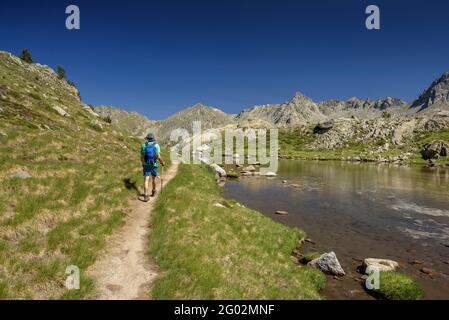 Valle di Peguera vista dal lago Estany Gran de Peguera (Parco Nazionale Aigüestortes i Estany de Sant Maurici, Catalogna, Spagna, Pirenei) Foto Stock