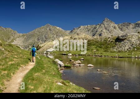 Valle di Peguera vista dal lago Estany Gran de Peguera (Parco Nazionale Aigüestortes i Estany de Sant Maurici, Catalogna, Spagna, Pirenei) Foto Stock