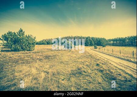 Paesaggio di strada su campo con erba secca in primavera, filtrato foto d'annata Foto Stock