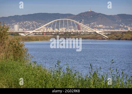 L'ultimo ponte sul fiume Llobregat, il ponte Nelson Mandela a El Prat de Llobregat (Barcellona, Catalogna, Spagna) Foto Stock