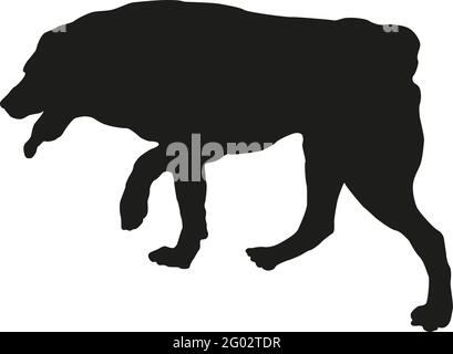 Silhouette nera per cani. Esecuzione del cucciolo del cane pastore asiatico centrale. Animali domestici. Isolato su sfondo bianco. Illustrazione vettoriale. Illustrazione Vettoriale