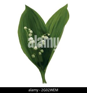 Sprig primaverile di giglio della valle. Piccoli fiori bianchi e foglie verdi. Immagine isolata su sfondo bianco, adatta per biglietti di vacanza e matrimoni Illustrazione Vettoriale