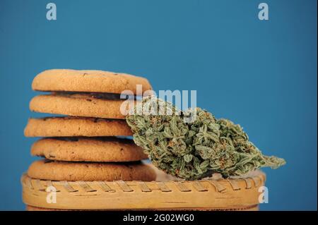 Dolci con olio CBD. Gemme di marijuana su sfondo blu. Primo piano fiori di cannabis e biscotti al cioccolato. Foto Stock