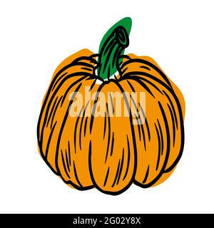 Illustrazione disegnata a mano di zucca isolata su sfondo bianco. Illustrazione Vettoriale