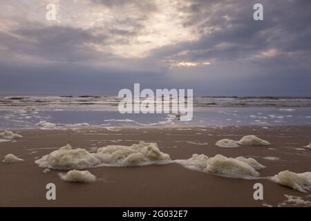 Spiaggia nei Paesi Bassi con bolle d'aria Foto Stock