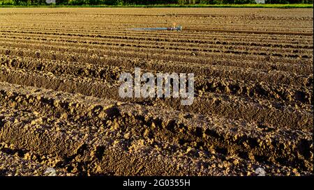 Campo in Renania-Palatinato/Germania foto panoramica Foto Stock