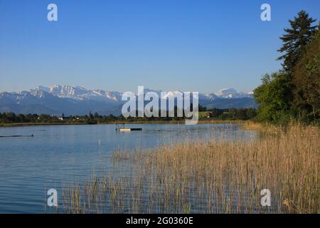 Chiara mattina di primavera sulle rive del lago Pfaffikon, in Svizzera. Foto Stock