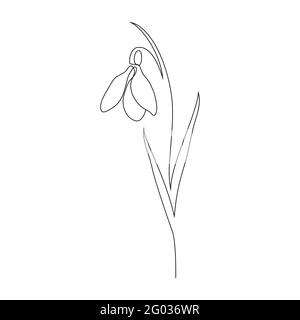 Fiore Snowdrop in stile line art. Illustrazione Vettoriale