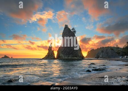 Olympic National Park, Washington, USA a Rialto Beach durante il tramonto. Foto Stock