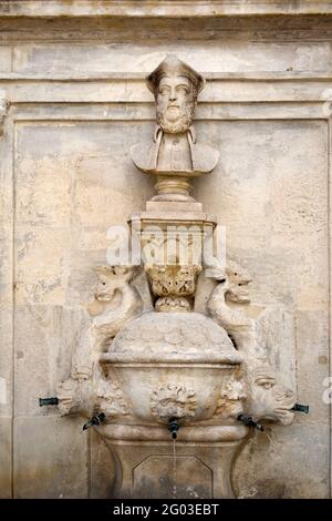 Statua di busto o Ritratto di Nostradamus sulla Fontana di Nostradamus (1859) di Liotard de Lambesc Saint-Remy-de-Provence Provence France Foto Stock