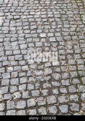Sfondo delle piastrelle del marciapiede ricoperte di foglie secche Foto Stock