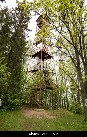 la grande torre di osservazione è adatta a chi guarda la natura, verde Foto  stock - Alamy