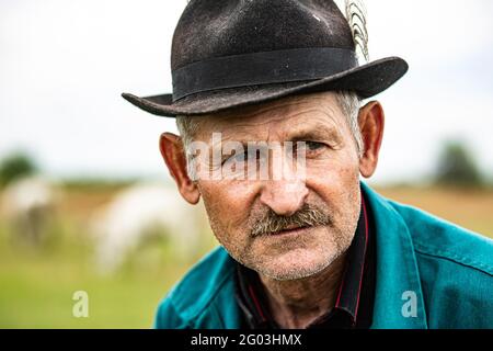 Ritratto di un tradizionale pastore di bestiame grigio che pastora da campagna Ungheria Foto Stock