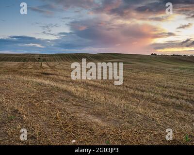 Vista sulle colline e campi dopo la falciatura del grano durante l'estate il tramonto. Warmia e Masuria. Polonia Foto Stock